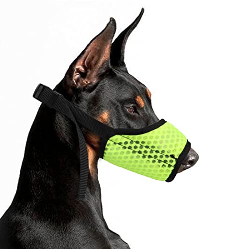 YAODHAOD Maulkorb für Hunde,mit Abgerundetem Mesh Schlaufe Atmungsaktive Hundemaulhülle，Verhindert das Fressen, Beißen und Kauen (M, grün) von YAODHAOD