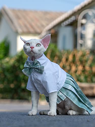 YAOER Frühjahr/Sommer Heavy Industry Haustier-Katzenkleidung Devon Hairless Cat Anti-Falten-nettes Plissee-Kleid, grün kariert, XL- von YAOER