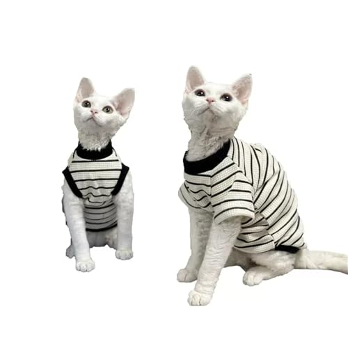 YAOER Haarlose Katze Sphinx Devon Frühling/Sommer Baumwoll-Waffel-T-Shirt, Tank-Top, XXL YAOER Haarlose Katze Sphinx Devon Frühling/Sommer Baumwoll-Waffel-T-Shirt, Tank-Top, XXL von YAOER