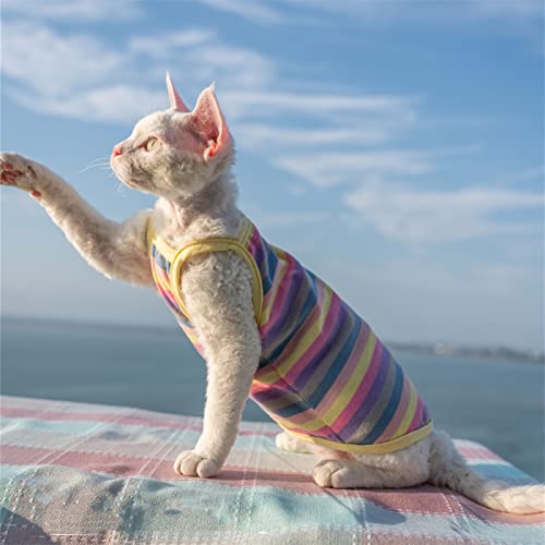 YAOER Haarlose Katze Sphinx Devon Katzenkleidung, hautfreundliche und Bequeme Weste aus Reiner, gestreifter Baumwolle und Leinen, farbige Streifen, XXXL- von YAOER