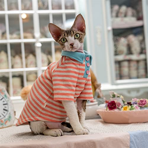 YAOER Haarlose Katze Sphinx Devon Kleidung Weihnachten gestreiftes Poloshirt angenehm warm,pink gestreift,XXL+ YAOER Haarlose Katze Sphinx Devon Kleidung Weihnachten gestreiftes Poloshirt angenehm warm,pink gestreift,XXL+ von YAOER