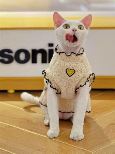 YAOER Haarlose Katze Sphinx Devon Wendbare Lammfell Winter Verdickte Kuschelige Warme Jacke,Beige,XXL YAOER Haarlose Katze Sphinx Devon Wendbare Lammfell Winter Verdickte Kuschelige Warme Jacke,Beige,XXL von YAOER