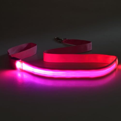 4pcs Glühen Hundeleine Wiederaufladbare wasserdichte Nylon Für Nachtsicherheit Und Komfort Für Haustier Leine Leine von YAOGUI