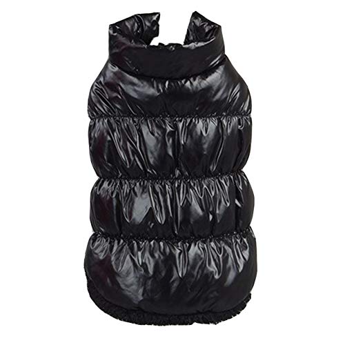 Herbst Winter Haustier Hunde Katzen Daunenjacke, Hund Mantel Verdickung, Wasserdicht Fleece gefüttert Warme Winterjacke Hunde Bekleidung für Teddy, Yorkshire Terrier, Chihuahua, Pommern Schwarz M Herbst Winter Haustier Hunde Katzen Daunenjacke, Hund Mantel Verdickung, Wasserdicht Fleece gefüttert Warme Winterjacke Hunde Bekleidung für Teddy, Yorkshire Terrier, Chihuahua, Pommern Schwarz M von YAOTT