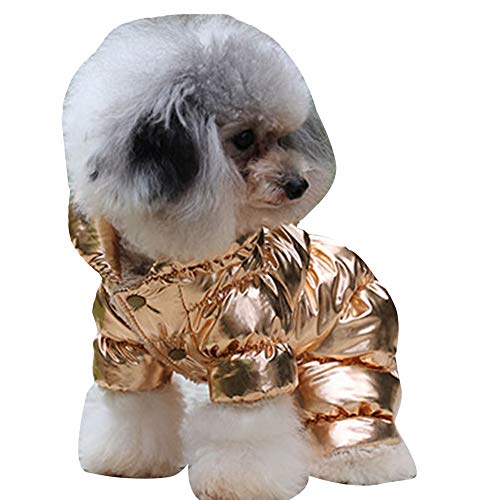 YAOTT Haustier Outwear Daunenjacke für Kleine Hunde Herbst Winter Haustier Warmen Unten Mantel Hundejacke Verdickung Winddicht und wasserdichte Golden S YAOTT Haustier Outwear Daunenjacke für Kleine Hunde Herbst Winter Haustier Warmen Unten Mantel Hundejacke Verdickung Winddicht und wasserdichte Golden S von YAOTT
