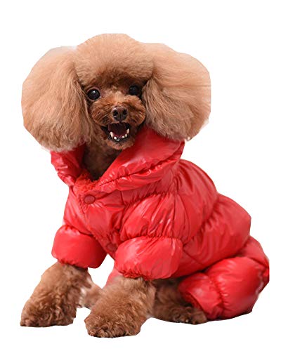 YAOTT Haustier Outwear Daunenjacke für Kleine Hunde Herbst Winter Haustier Warmen Unten Mantel Hundejacke Verdickung Winddicht und wasserdichte Hellrot XL YAOTT Haustier Outwear Daunenjacke für Kleine Hunde Herbst Winter Haustier Warmen Unten Mantel Hundejacke Verdickung Winddicht und wasserdichte Hellrot XL von YAOTT