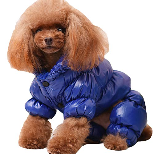 YAOTT Haustier Outwear Daunenjacke für Kleine Hunde Herbst Winter Haustier Warmen Unten Mantel Hundejacke Verdickung Winddicht und wasserdichte Königsblau M YAOTT Haustier Outwear Daunenjacke für Kleine Hunde Herbst Winter Haustier Warmen Unten Mantel Hundejacke Verdickung Winddicht und wasserdichte Königsblau M von YAOTT