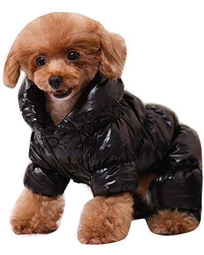 YAOTT Haustier Outwear Daunenjacke für Kleine Hunde Herbst Winter Haustier Warmen Unten Mantel Hundejacke Verdickung Winddicht und wasserdichte Schwarz M YAOTT Haustier Outwear Daunenjacke für Kleine Hunde Herbst Winter Haustier Warmen Unten Mantel Hundejacke Verdickung Winddicht und wasserdichte Schwarz M von YAOTT