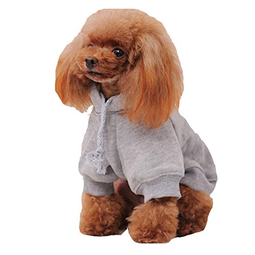 YAOTT Hundepullover mit Kapuze für Herbst und Winter, Hunde Hoodie Kleidung Haustier Kleidung Kapuzenjacke für Katze Kleine Hunde, Welpen, Teddy, Pudel, Chihuahua Grau XS YAOTT Hundepullover mit Kapuze für Herbst und Winter, Hunde Hoodie Kleidung Haustier Kleidung Kapuzenjacke für Katze Kleine Hunde, Welpen, Teddy, Pudel, Chihuahua Grau XS von YAOTT
