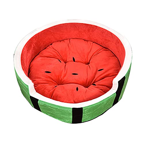 YAOTT Sommer und Herbst Wassermelonenform Haustierstreu waschbares Katzenbett Plüsch rundes weiches Katzensofa Flauschiges Hundebett kleines Hundebett Katzendecke Haustierbett rot L:50 * 50 * 19CM YAOTT Sommer und Herbst Wassermelonenform Haustierstreu waschbares Katzenbett Plüsch rundes weiches Katzensofa Flauschiges Hundebett kleines Hundebett Katzendecke Haustierbett rot L:50 * 50 * 19CM von YAOTT