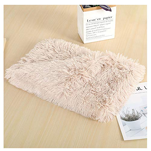 YAOTT Super Warme Weiches Hundedecke Waschbar Plüsch Hundematt Haustierdecke Leicht zu Tragen für Kleine Mittlere Hunde Welpen Weiche Warme Matte Decke Beigebraun 78×54CM YAOTT Super Warme Weiches Hundedecke Waschbar Plüsch Hundematt Haustierdecke Leicht zu Tragen für Kleine Mittlere Hunde Welpen Weiche Warme Matte Decke Beigebraun 78×54CM von YAOTT