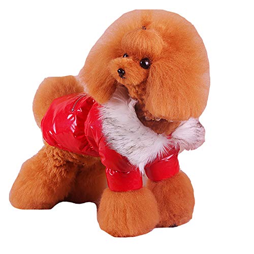 YAOTT wasserdichte Kleine Haustier Outwear, Schneeanzug für Katzen, Welpen mit Fleece-gefüttert, Kunstpelzkragen, Kragenloch, Warmen Unten Mantel Hundejacke Hund Daunen Jacke Kleidung, 2 Beine rot XL YAOTT wasserdichte Kleine Haustier Outwear, Schneeanzug für Katzen, Welpen mit Fleece-gefüttert, Kunstpelzkragen, Kragenloch, Warmen Unten Mantel Hundejacke Hund Daunen Jacke Kleidung, 2 Beine rot XL von YAOTT