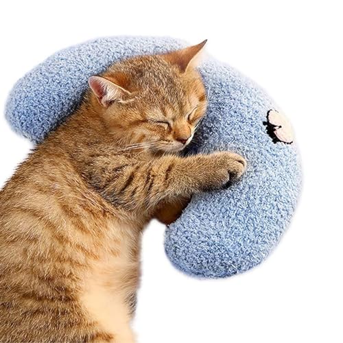 YAPAILANG Katzenspielzeug, 2 Stück, Kätzchen-Kissen mit Obstmuster, Katzenkauspielzeug, Kopfstütze aus Plüsch, bequeme Plüsch-Kopfstütze YAPAILANG Katzenspielzeug, 2 Stück, Kätzchen-Kissen mit Obstmuster, Katzenkauspielzeug, Kopfstütze aus Plüsch, bequeme Plüsch-Kopfstütze von YAPAILANG