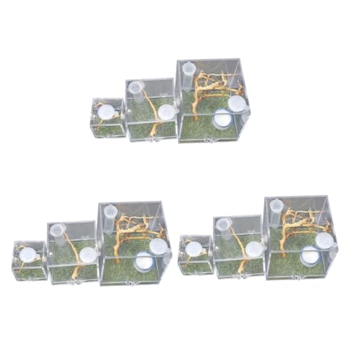 9 STK Springspinnen-zuchtbox Tier Spinnen-Terrarium Insektenbehälter Insektenschutzbecken Zuchtbehälter Reptilienhalter Fütterung Fall Futterkasten Für Insekten Spinnengehege Acryl YARNOW 9 STK Springspinnen-zuchtbox Tier Spinnen-Terrarium Insektenbehälter Insektenschutzbecken Zuchtbehälter Reptilienhalter Fütterung Fall Futterkasten Für Insekten Spinnengehege Acryl YARNOW von YARNOW