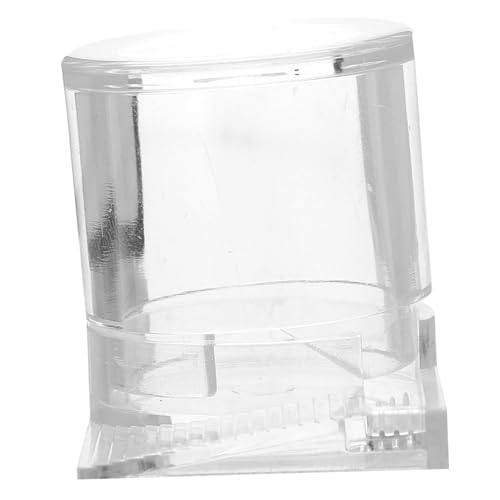 Ameisen Wassertränke für Reptilien Transparente Futter Schale für Ameisenhaltung zu Reinigen für Terrarien von YARNOW