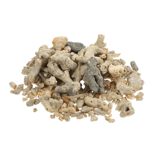 YARNOW 1 Korallenfilter für Aquarien Luft Kanister Aufkleber am Meer Ziersteine für Reptilienbecken korallenriff Aquarium Zubehör Dekorativer Aquariumfilter Filterstein Korallenknochen YARNOW 1 Korallenfilter für Aquarien Luft Kanister Aufkleber am Meer Ziersteine für Reptilienbecken korallenriff Aquarium Zubehör Dekorativer Aquariumfilter Filterstein Korallenknochen von YARNOW