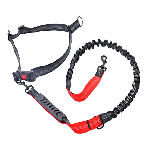 YARNOW Robuste Bungee-hundeleine Für Große Und Mittlere Hunde Reflektierende Zugleine Für Sicheres Training Und Rückruf Flexibles Mit Griff Schwarz von YARNOW
