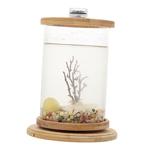 YARNOW Elegantes Desktop-Aquarium-Topf-fischtank-kit Drehrahmen - Basis- -nachtlampe Für Fische YARNOW Elegantes Desktop-Aquarium-Topf-fischtank-kit Drehrahmen - Basis- -nachtlampe Für Fische von YARNOW