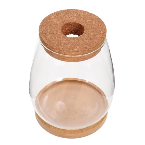 YARNOW Landschaftsflasche Moos-ökologische Flasche Pflanzenbehälter Terrarium-glasbehälter Für Zuhause Garten Bürodekor von YARNOW