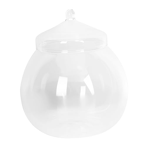 YARNOW -landschaftsflasche Aus Glas DIY-pflanzenterrarium Mit Deckel Transparente Glasflasche Für Pflanzen Einfacher Aufbewahrungsbehälter Für Blumen Und Moos von YARNOW
