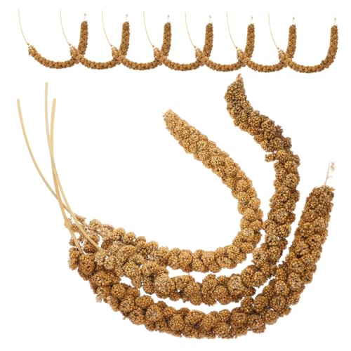 YARNOW 1 Satz Papageienfutter natürliche Körner Vogelkäfig mit natürlichen Körnern Multifunktionsfutter für Haustiere Sittichfutter Futtermittel für Vögel Ähren YARNOW 1 Satz Papageienfutter natürliche Körner Vogelkäfig mit natürlichen Körnern Multifunktionsfutter für Haustiere Sittichfutter Futtermittel für Vögel Ähren von YARNOW