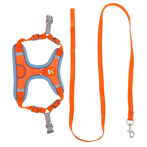 YARNOW 1 Satz Transportbox für Haustiere hundegurt hundelaufband Hundegeschirr Leine Fluchtsicheres Katzengeschirr Welpengeschirr Verschleißfestes Hundegeschirr Geschirrset für Haustiere YARNOW 1 Satz Transportbox für Haustiere hundegurt hundelaufband Hundegeschirr Leine Fluchtsicheres Katzengeschirr Welpengeschirr Verschleißfestes Hundegeschirr Geschirrset für Haustiere von YARNOW