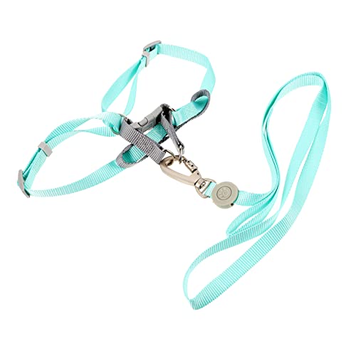 YARNOW 1 Satz verstellbares hundegeschirr leichtes hundegeschirr Distanzgesteuertes Hundegeschirr Kätzchenleine kleines Geschirr für Hund Tanktops Muskelshirt Hunde Essentials Hundeleine YARNOW 1 Satz verstellbares hundegeschirr leichtes hundegeschirr Distanzgesteuertes Hundegeschirr Kätzchenleine kleines Geschirr für Hund Tanktops Muskelshirt Hunde Essentials Hundeleine von YARNOW