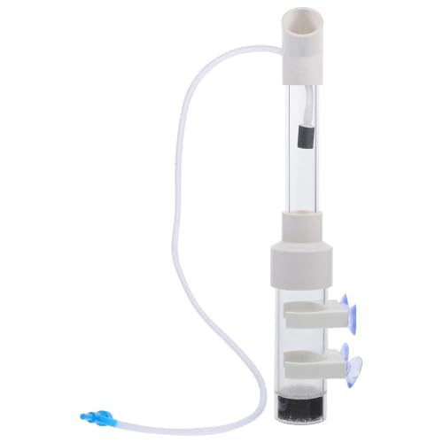 YARNOW Cichlid Brutkasten 40mm mit 4 Saugnäpfen Aquarium Eier für Fischzucht Transparenter Brutbehälter für Mundbrüter von YARNOW