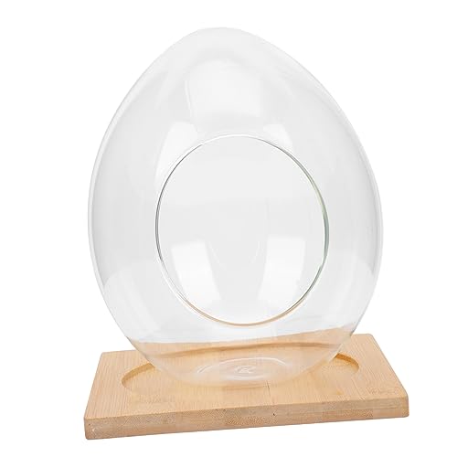 YARNOW 15 cm Große Glas-Terrarium-Form Dekorative Pflanzenflasche Für Den Innen- Und Gartenbereich YARNOW 15 cm Große Glas-Terrarium-Form Dekorative Pflanzenflasche Für Den Innen- Und Gartenbereich von YARNOW
