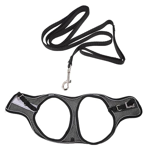 YARNOW Katze und Zum Spazierengehen 1 Set Weiches Halsband und Seil für Kätzchen und Den Einsatz Im Freien YARNOW Katze und Zum Spazierengehen 1 Set Weiches Halsband und Seil für Kätzchen und Den Einsatz Im Freien von YARNOW