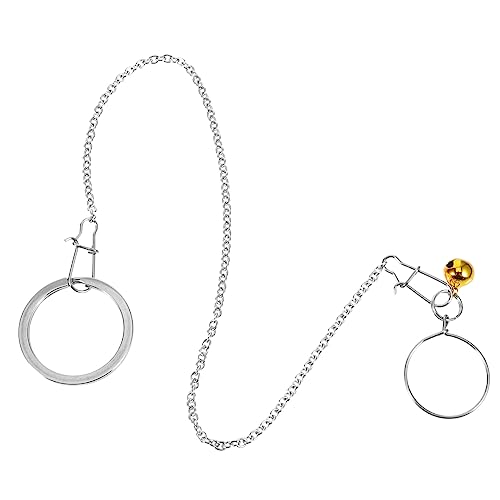 YARNOW 1 Set Vogelhalsbandkette Wellensittichkäfig Papagei Hirse Futterträger Vogelfluggeschirr Vogelfliegenzughalsband Vogeltrainingsgeschirr Sittichleine Edelstahl Silber von YARNOW