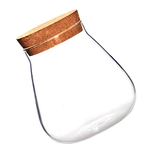YARNOW 1 Stück Glasflaschen Ornamente Korkdeckel Terrarium Pflanzen Terrarium Glas Mit Korkdeckel Moosfläschchen Mooskugel Pflanze Dekorativer Glasbehälter Mit Korkdeckel YARNOW 1 Stück Glasflaschen Ornamente Korkdeckel Terrarium Pflanzen Terrarium Glas Mit Korkdeckel Moosfläschchen Mooskugel Pflanze Dekorativer Glasbehälter Mit Korkdeckel von YARNOW