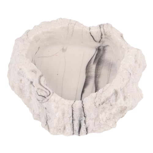 YARNOW 1 Stück Schale aus Harz Reptile Feeding Bowl Pet Feeding Plate Spider Feeding Dish Zubehör für Reptilien Schüsseln Gericht kreative Haustierschüssel Futternapf für Reptilien Grey YARNOW 1 Stück Schale aus Harz Reptile Feeding Bowl Pet Feeding Plate Spider Feeding Dish Zubehör für Reptilien Schüsseln Gericht kreative Haustierschüssel Futternapf für Reptilien Grey von YARNOW