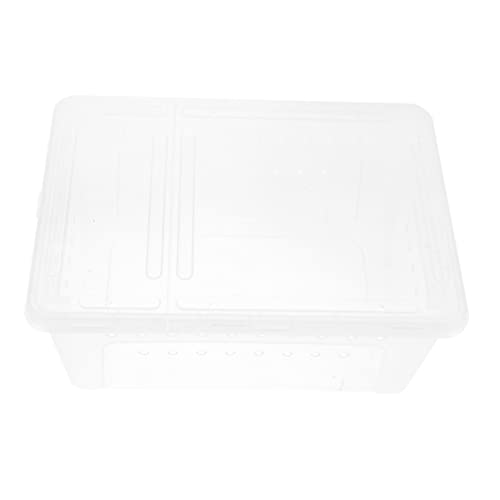 YARNOW Aufzuchtbox Aus Kunststoff Für Spinnen Und Skorpione Reptilienbox Mit Doppelter Öffnung Transparentes Design Für Fütterung Und Transport Kleiner Tiere von YARNOW