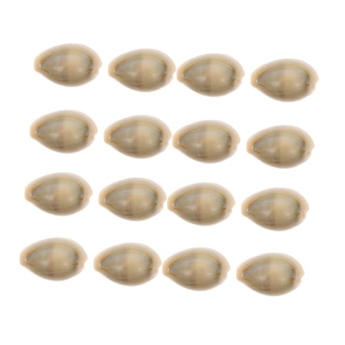 YARNOW 100 Stück Teiliges Natürliches Meeresschnecken Aquarium Deko Langlebige Conch Muscheln als Mikro landschafts zierde Geeignet für Haus Fischbecken Dekoration von YARNOW