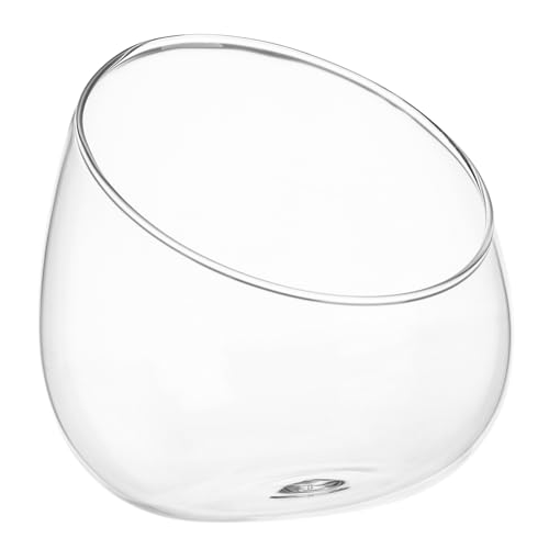 YARNOW 1stk Pflanze Terrarienblase Pflanzenterrarium Glasterrarien Für Pflanzen Klare Glasvasen Für Schräg Geschnittene Blasenschale Glas Pflanzen Glasschalen Anlage Ornamente von YARNOW