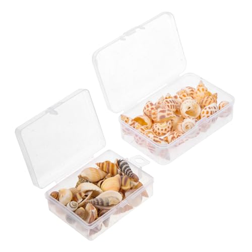 YARNOW 2 Boxen Natürliche Meeresmuschel Dekoration für Aquariumlandschaft Authentisches Conch Design Vielseitig für Süß Salzwasserfische DIY Terrarium Deko Stressreduzierend für von YARNOW