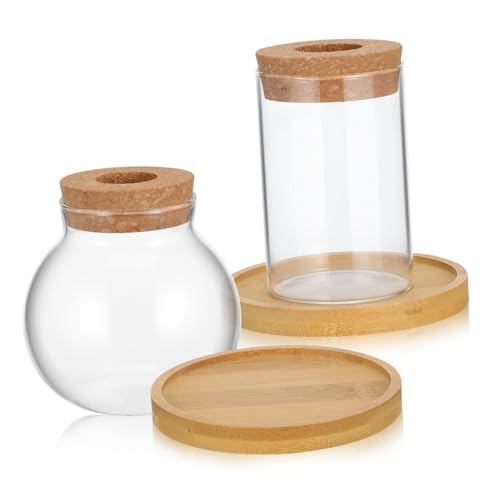 YARNOW 2stücke Anzuchthalter Aus Glas Hydrokultur-pflanzgefäß Runde Glasterrarien Für Pflanzen Und Blumen Dekorative Anzuchtvasen Für Innenbereich von YARNOW