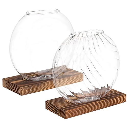 YARNOW 2 STK Kreative Vase Mehrere Pflanzenterrarium Vasen Vermehrungsgefäße Goldener Behälter Pflanzterrarien Klare Vase Blumenhalter Für Tafelaufsätze Tischvase Glas Transparent YARNOW 2 STK Kreative Vase Mehrere Pflanzenterrarium Vasen Vermehrungsgefäße Goldener Behälter Pflanzterrarien Klare Vase Blumenhalter Für Tafelaufsätze Tischvase Glas Transparent von YARNOW