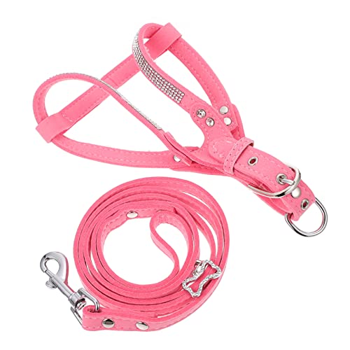 YARNOW 2 Sets Hund Leine Set Für Outdoor-aktivitäten Weste Haustier Hund Training Seil Welpen Traktion YARNOW 2 Sets Hund Leine Set Für Outdoor-aktivitäten Weste Haustier Hund Training Seil Welpen Traktion von YARNOW