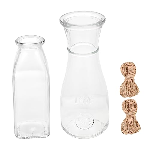YARNOW Hydroponische Pflanzenflasche – 2 Sets Glasblumen Einfach Aufzuhängendes Design Für Die Dekoration Im Homeoffice von YARNOW