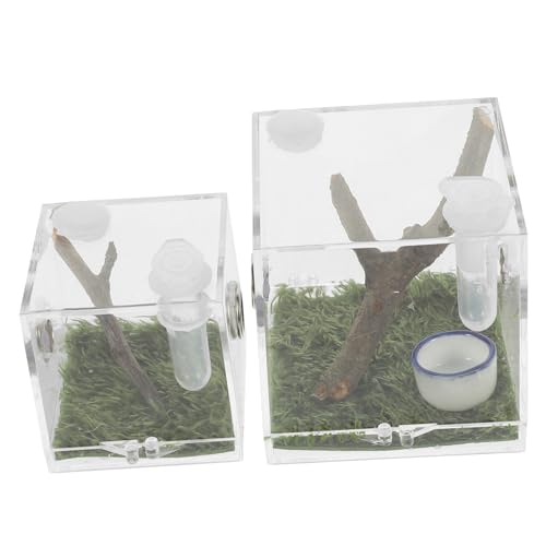 YARNOW Sichere Leichte Zuchtbox Für Springspinnen Insektenlebensraum Luftbefeuchter Beobachtungsfenster YARNOW Sichere Leichte Zuchtbox Für Springspinnen Insektenlebensraum Luftbefeuchter Beobachtungsfenster von YARNOW