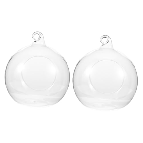 YARNOW 2 Stück Eco-Flasche graceling Gracy Office Decoration ziernieten Dekoration Anlage hängend drinnen Glaskugel zum Aufhängen Mikrolandschafts-Hängeterrarium saftiges Terrarium von YARNOW