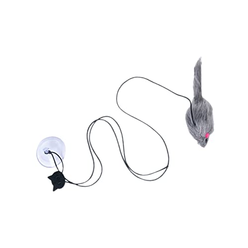 YARNOW 2stücke Interaktive Katzenspielzeuge Kreative Katzenangel Mit Saugnapf Elastisch Und Dehnbar Spielzeuge Für Katzen Und Kätzchen Steigert Die Aktivität Und Beim YARNOW 2stücke Interaktive Katzenspielzeuge Kreative Katzenangel Mit Saugnapf Elastisch Und Dehnbar Spielzeuge Für Katzen Und Kätzchen Steigert Die Aktivität Und Beim von YARNOW