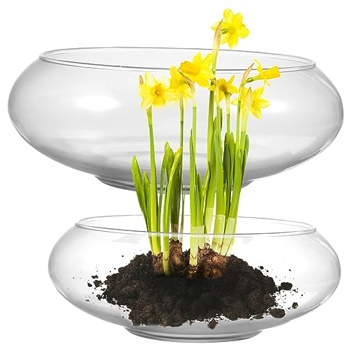 YARNOW 2stücke Glasvase Für Fische Runde Terrarium-Schalen Aus Klarem Glas Dekorative Blumentöpfe Für Tischdekoration Und Hydroponik Für Wohnzimmer Und Pflanzenliebhaber von YARNOW