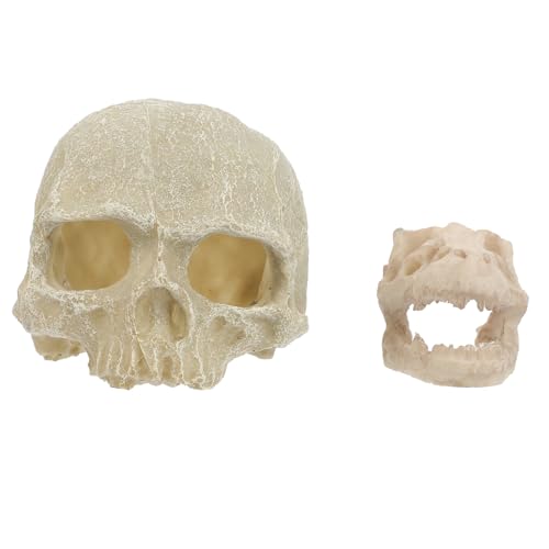 YARNOW 2 Stück Teiliges Aquarium Deko aus Resin Schädel Formen Einzigartige Unterwasser für Fischbecken Praktische Versteckhöhlen für Aquarien Halloween Fischtank Dekoration YARNOW 2 Stück Teiliges Aquarium Deko aus Resin Schädel Formen Einzigartige Unterwasser für Fischbecken Praktische Versteckhöhlen für Aquarien Halloween Fischtank Dekoration von YARNOW