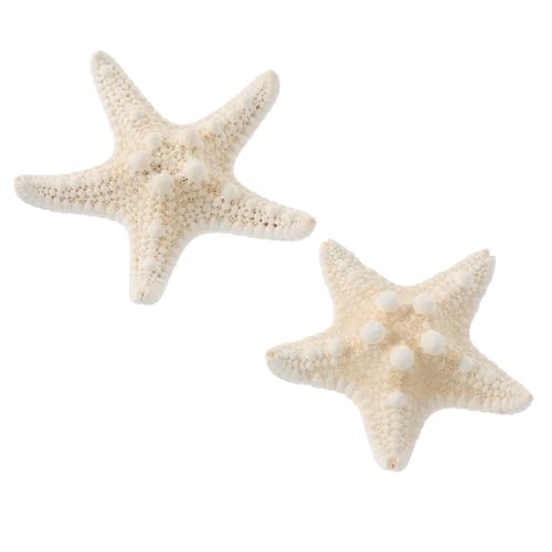 YARNOW 2 Stück Teiliges Natürliches Seestern dekor DIY Bastelset Leichte Seesterne für Aquarium Dekoration Kinderhandwerk und Kreative Wohnraumdekoration YARNOW 2 Stück Teiliges Natürliches Seestern dekor DIY Bastelset Leichte Seesterne für Aquarium Dekoration Kinderhandwerk und Kreative Wohnraumdekoration von YARNOW