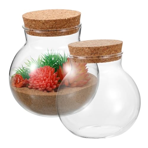 YARNOW 2 Stücke Runde Glas Terrarium Flasche Wohnkultur Moos Handwerk Mini Landschaft Flasche YARNOW 2 Stücke Runde Glas Terrarium Flasche Wohnkultur Moos Handwerk Mini Landschaft Flasche von YARNOW