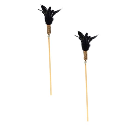 YARNOW 2Stücke Katzen Teaser Mit Federn Interaktives Haustier Für Katzen Holz Katzenminze Sticks Für Spaß Für Drinnen Und Draußen von YARNOW