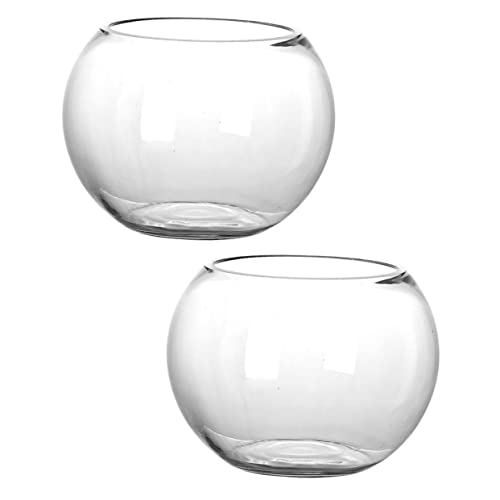 YARNOW 2Stücke Terrarium Für Sukkulenten Ökologische Pflanzenflasche Für Dekoration Im Wohnzimmer Kompakte Und Leichte von YARNOW